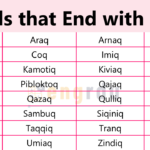 List All Words that End Q with Meanings