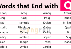 List All Words that End Q with Meanings