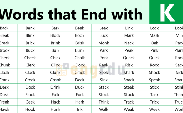 List of All Words that End with K with Meanings and Examples