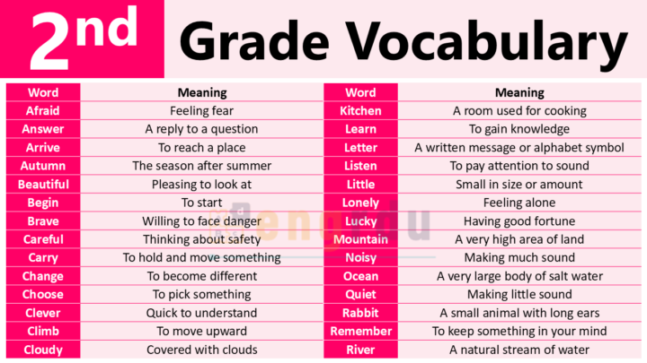 2nd Grade Vocabulary Words for Students